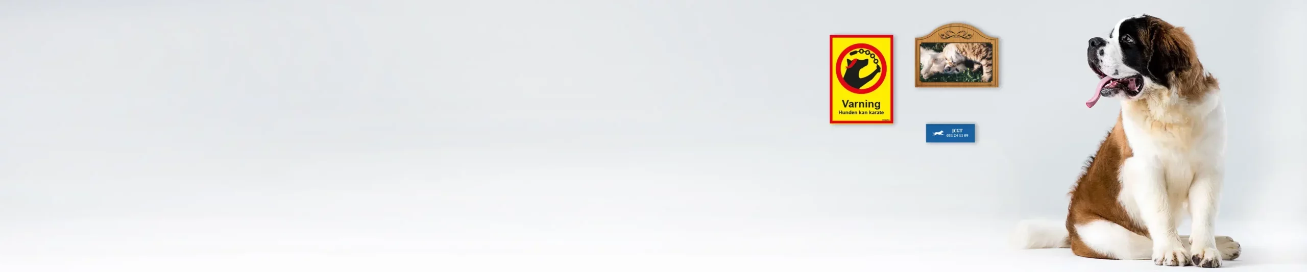 Large banner background image